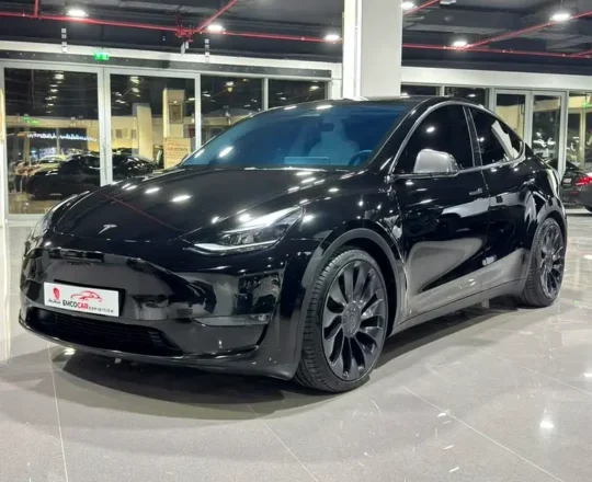 Tesla Model Y Performance