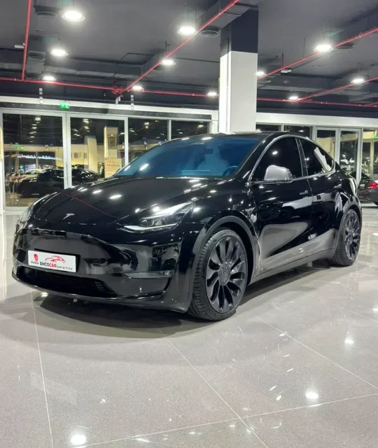 Tesla Model Y Performance