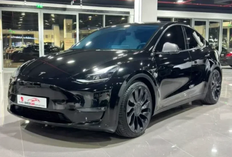 Tesla Model Y Performance